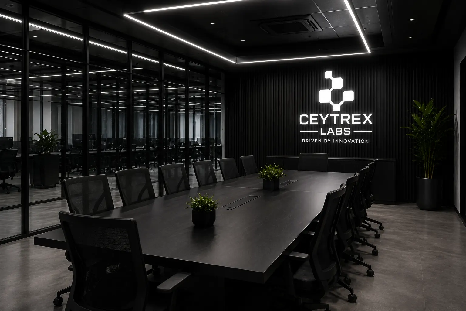 Ceytrex Labs meeting room and conference table